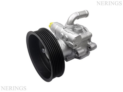 Steering hydraulic pumps