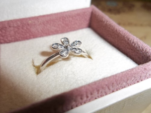 Genuine authentic pandora - authentic,