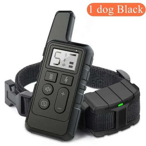 Electric pet dog - dog, training