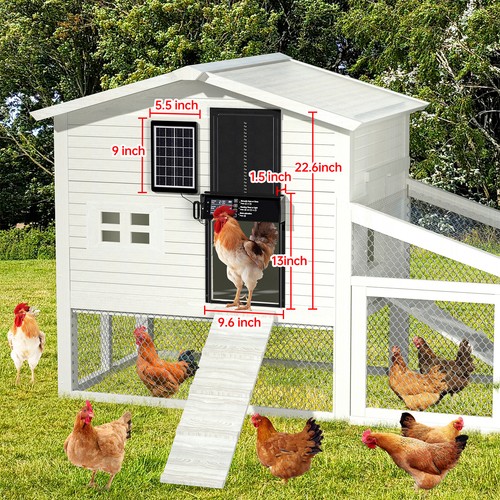 Solar automatic chicken coop - automatic,