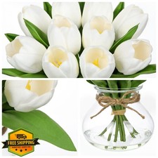 DILATATA White Tulips in Glass