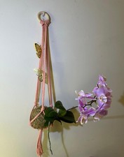 Unique Phalaenopsis Orchid