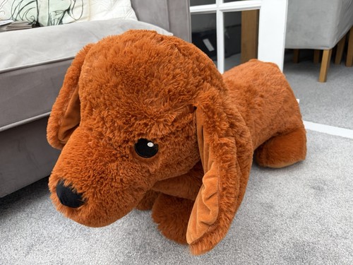 Large dachshund - , (sausage