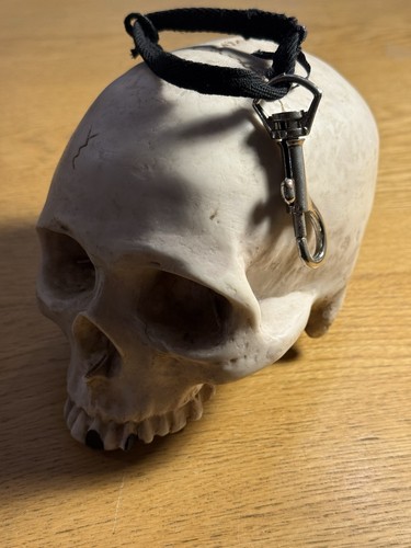 Realistic human skull replica - realistic,