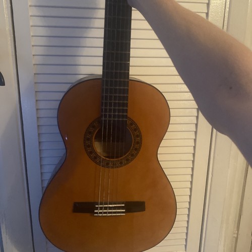 Viola guitar - viola,