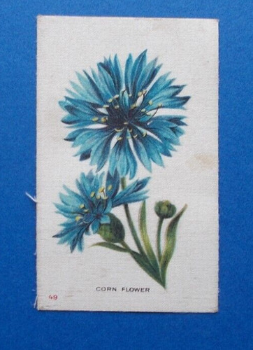 Cigarette cards westminster - cards, by