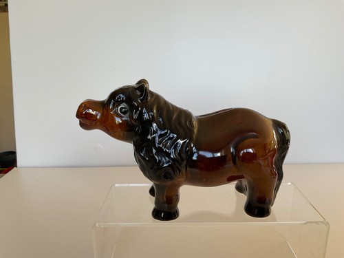 Shetland pony money - pony, box