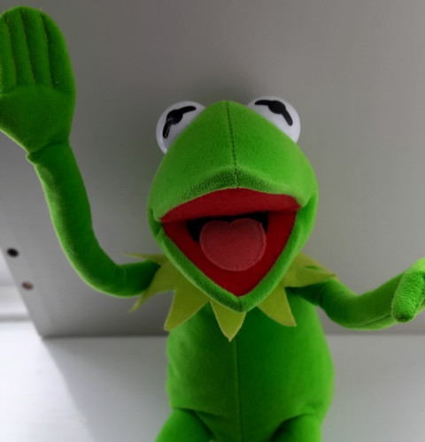 Kermit the frog plush toy - plush,