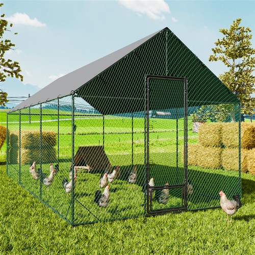 Xxl metal chicken run - xxl,
