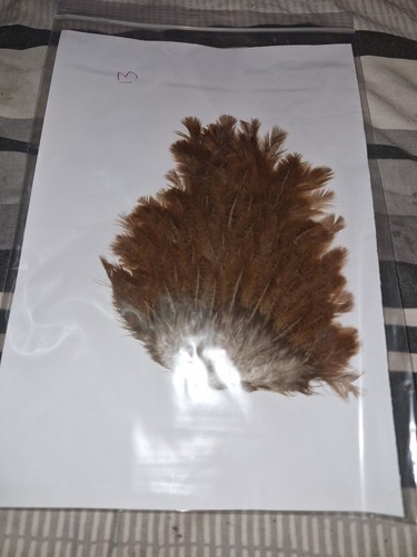 Large saddle hen - hen, hackles
