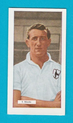 Toni marchi tottenham - of,