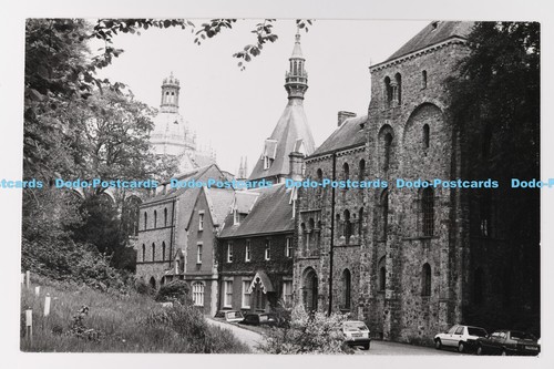 C023265 hampshire - c023265,