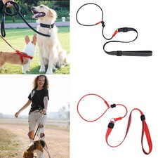 Dog Slip Lead Training Leads