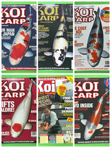Koi carp magazine bundle - koi,