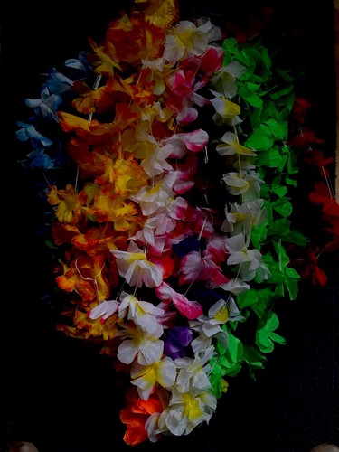 Hawaiian leis garlands - 12,