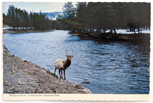 Yellowstone national park - national,