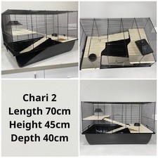 Extra large hamster Gerbil