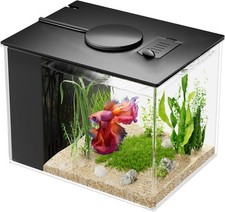 Small Fish Tank, 1 Gallon