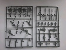 4x SAURUS WARRIORS, Age of