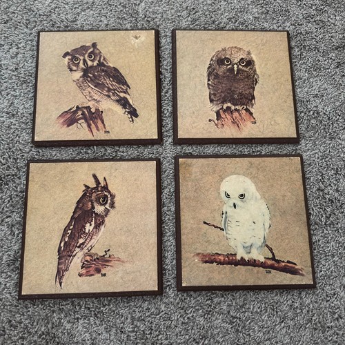 Vtg richard hinger owl prints - vtg,
