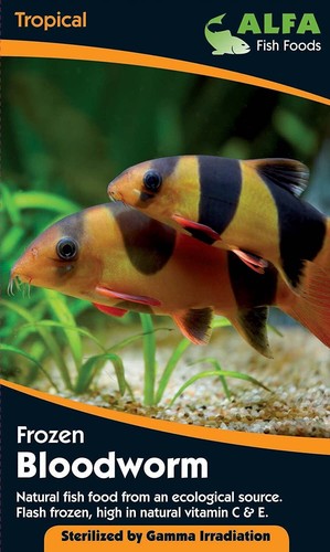 Alfa frozen bloodworm 100g - alfa,