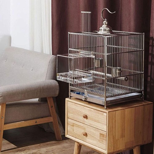 Packclear acrylic parrot - 1,
