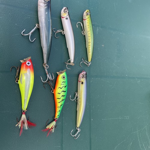 Rapala and zuri popper - and,