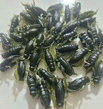 5 x Pcs Fishing Baits Fake