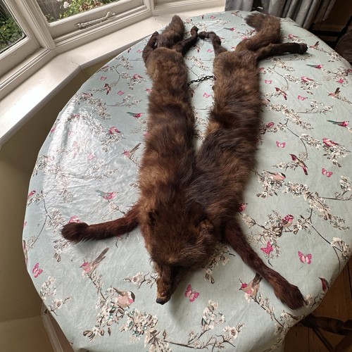 Vintage 1930s double fox - , stole