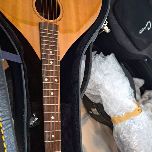 String acoustic dreadnought - acoustic,