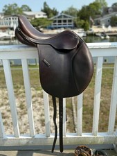 15.5” Bates Caprilli  Close