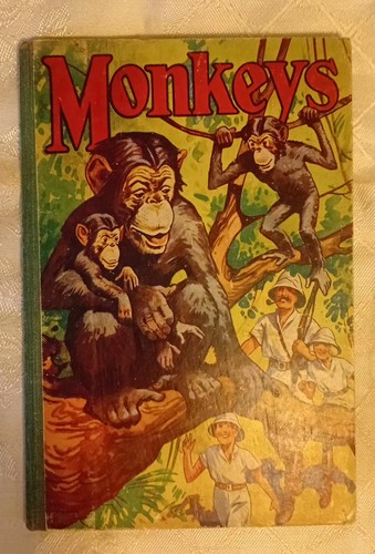 Vintage monkey kids story - hb,