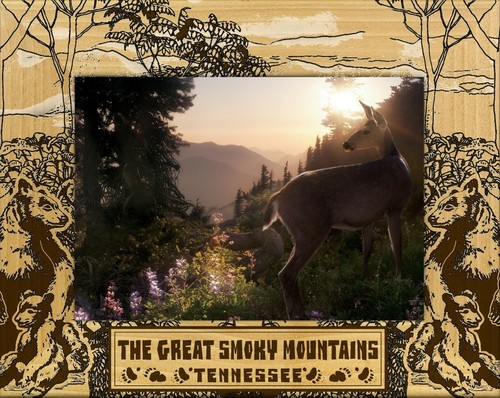 The great smoky - smoky, mountains