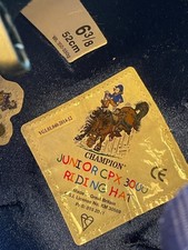 VGC Junior Champion Horse