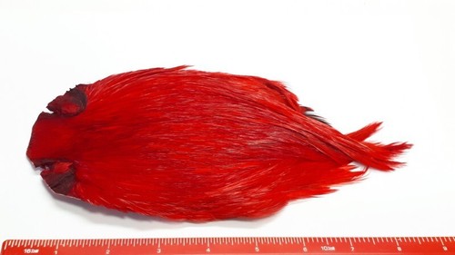 Dyed red indian cock cape - red, cape/fly