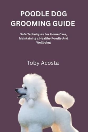 Toby acosta poodle dog - poodle,