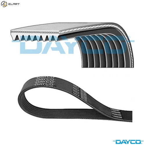 Vribbed belt 8pk2630hd for - 8pk2630hd,