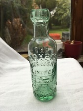 Tiny Maryport Brewery lion