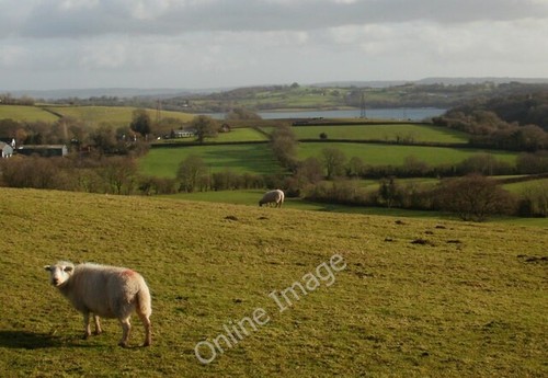 Photo 6x4 grazing - 6x4, land,