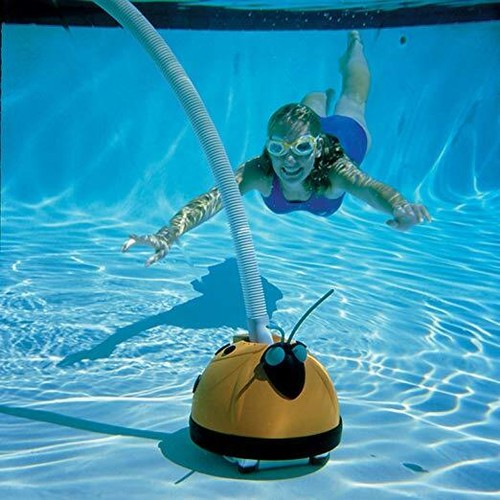 Hayward aqua critter above - hayward,