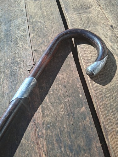 Antique edwardian cane - edwardian, /