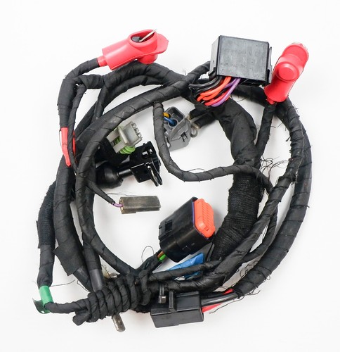 Rotax max evo - kart, wiring