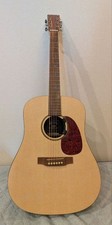 Martin DXM Dreadnought