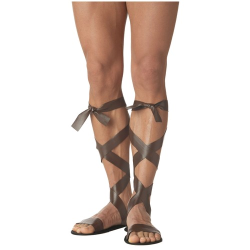 Roman warrior gladiator - warrior,
