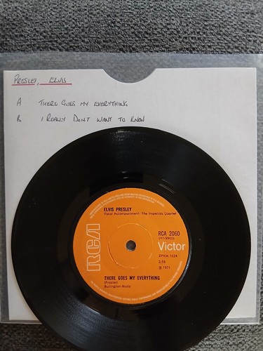 Elvis presley there goes - goes, my