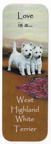 West highland white westie - west,