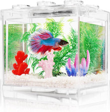 Small Betta Fish Tank