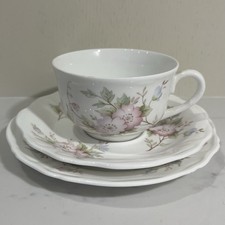 Royal Worcester Palissy Floral