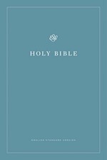 ESV Economy Bible By Not
