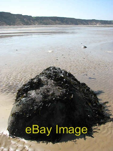 Photo 6x4 sharman cutler - 6x4,